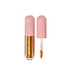 LIPGLOSS